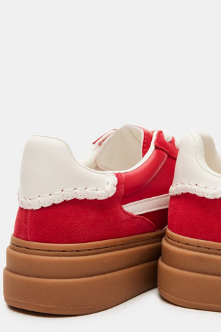 Steve Madden: Dodge Sneakers-Red Multi-9- Shoes-Moody on Main